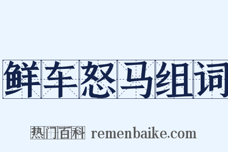 鲜车怒马组词是什么意思的图片